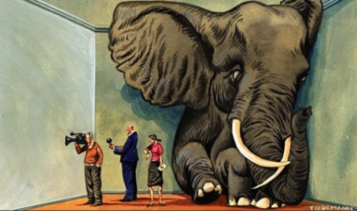 Elephant in the room
